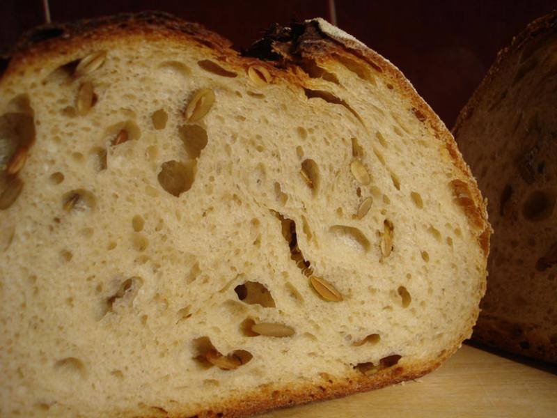 Pumpkin Seed Atta Batard (Crumb), Trial 2