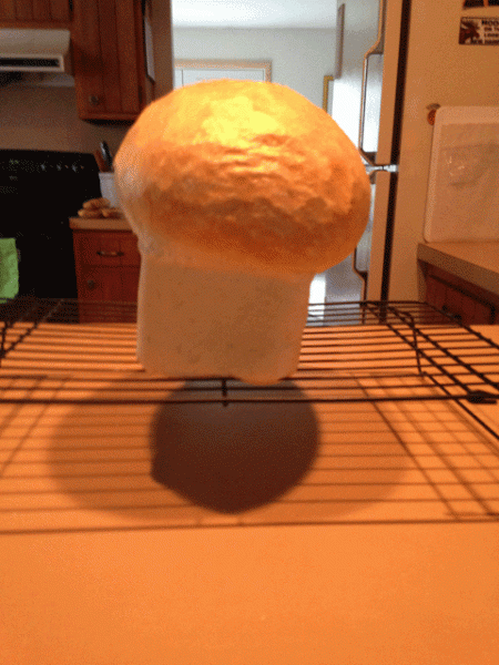 3LbLoaf