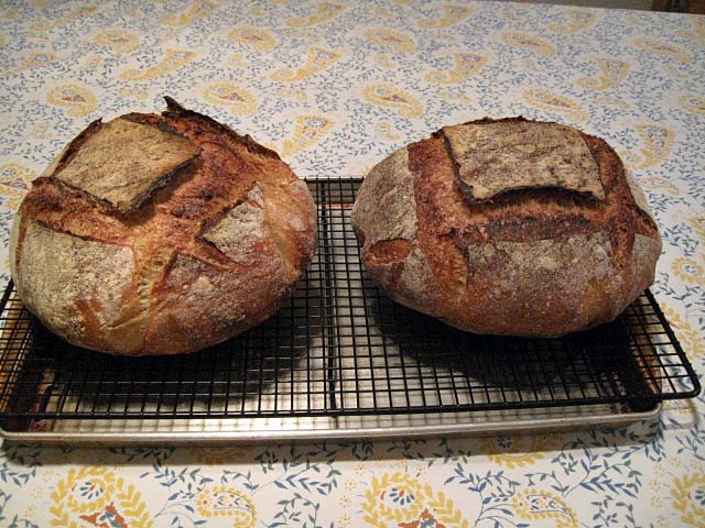 https://www.thefreshloaf.com/files/u5218/Basic%20Country%20Bread%20in%20Dutch%20Oven_Both1105.jpg