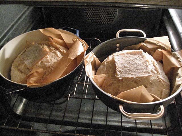 Cloche - Baking Bread in a Clay Pot - Artisan Bread in Five Minutes a Day