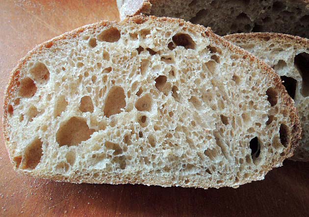 State of the Sourdough: 2020 » The Smugatarian