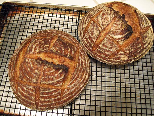 San Francisco sourdough | The Fresh Loaf