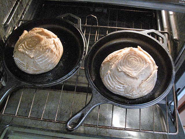 Sourdough day with the Lodge combo cooker! : r/castiron