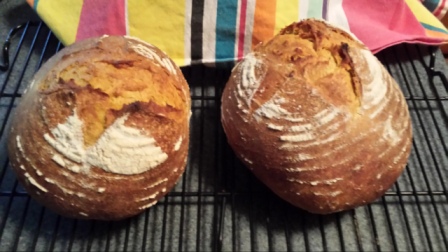 Pumpkin loaves fresh from the oven