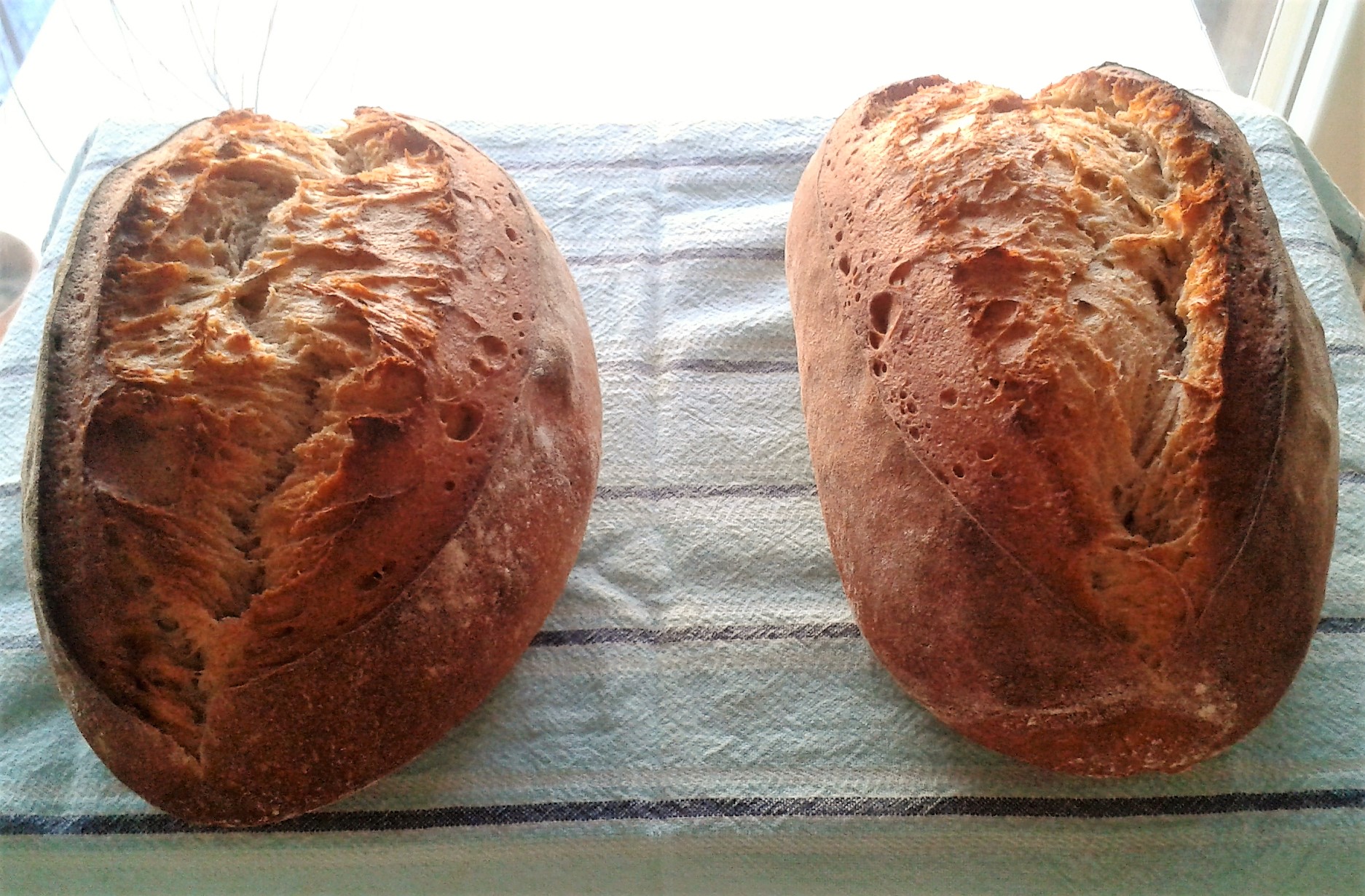 20% Rye sourdough loaves