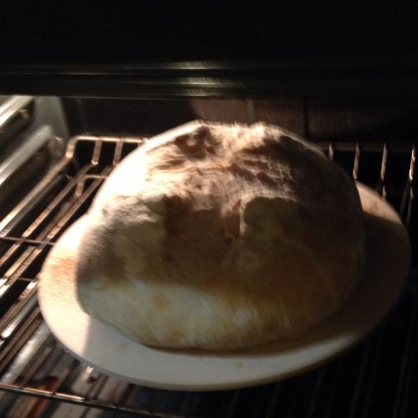 Oven Spring - That is a 15 inch stone, so loaf diameter was just over a foot.