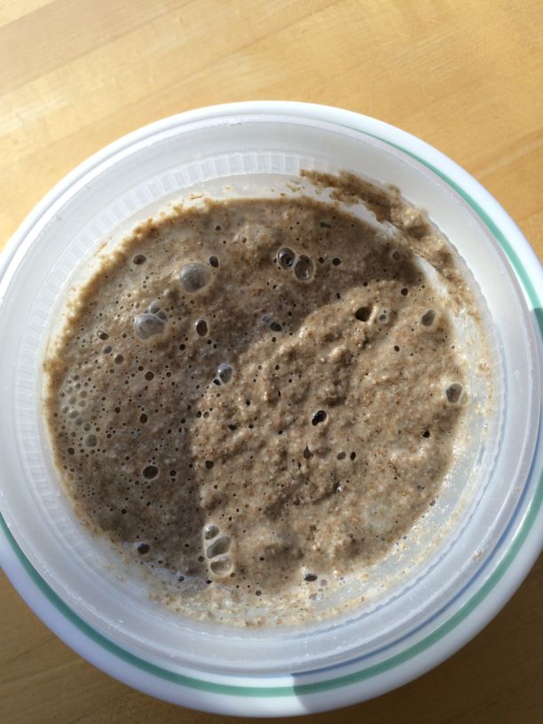 Rye Sour