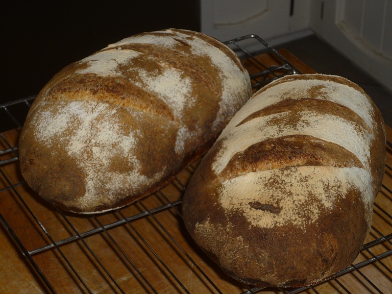 Sourdough Batards