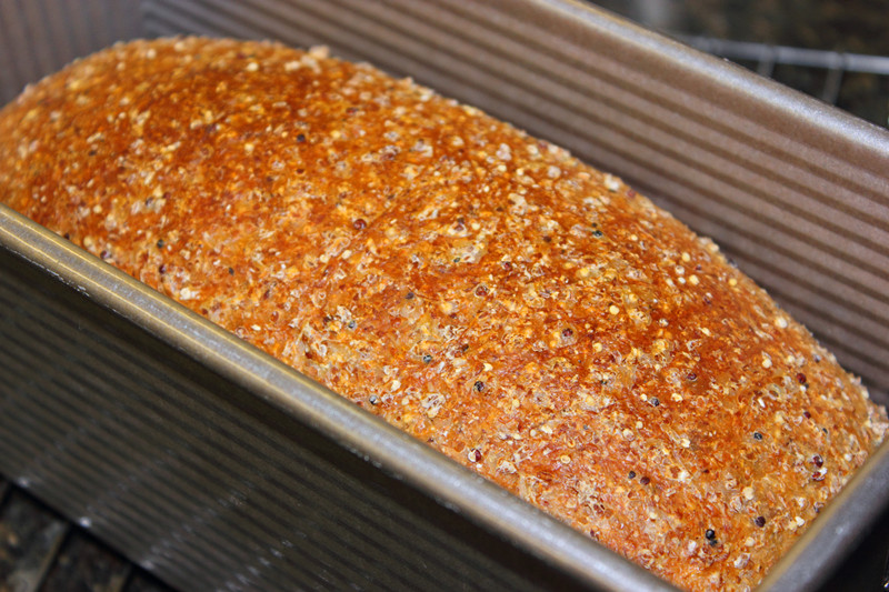 100 Sprouted Grain Bread The Fresh Loaf