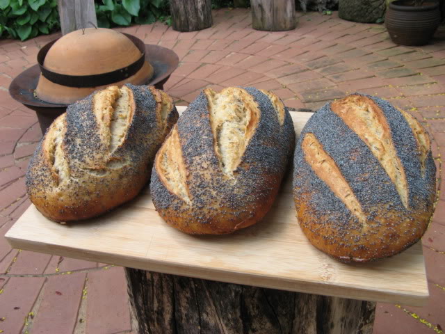 Sour Rye, Back Home Bakery