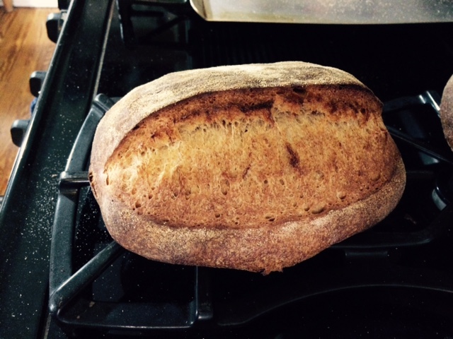 Vermont batard