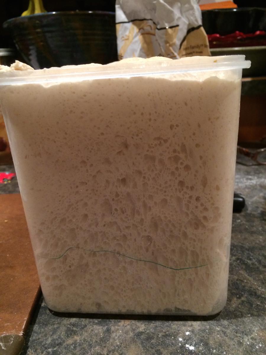 Bulk Ferment 8 hours later