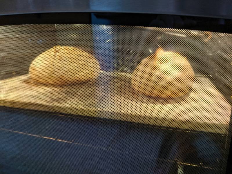 boule vs batard oven spring