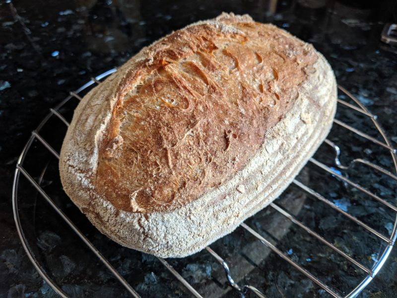 loaf 3 vents plugged oven off