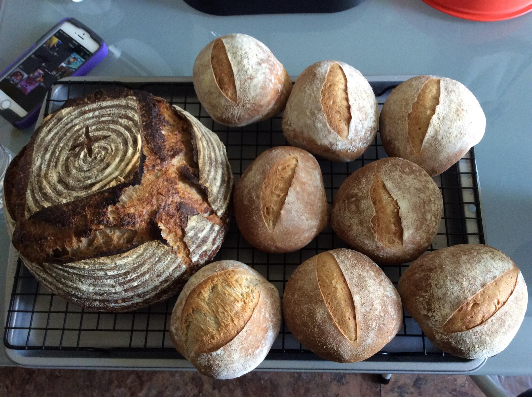 Bauernbrötchen - Rustic Rolls with Old Dough | The Fresh Loaf