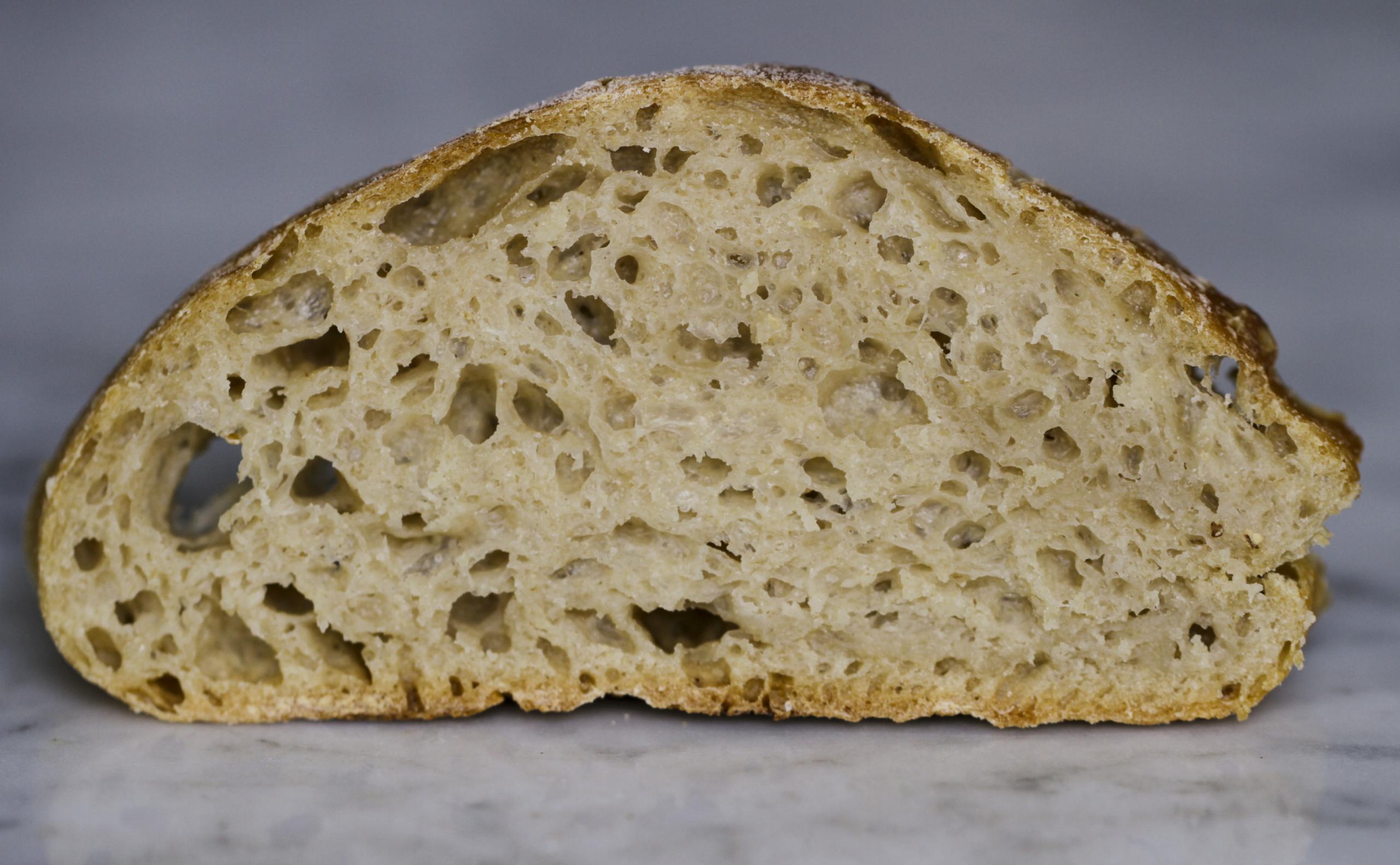 50% ww ciabatta