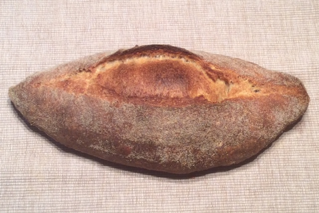 The finished San Joaquin Sourdough loaf