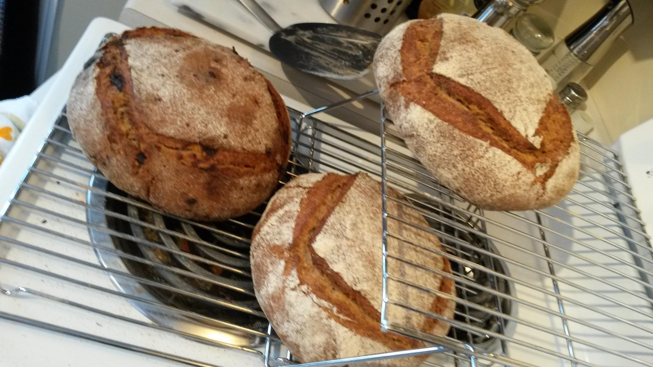 Sourdough breads