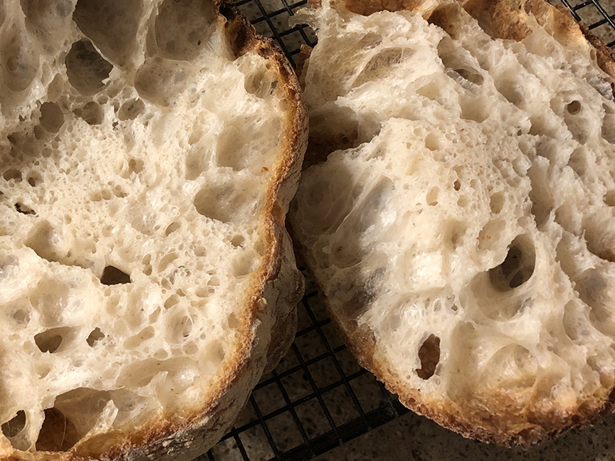 Ciabatta Bake 3-crumb2