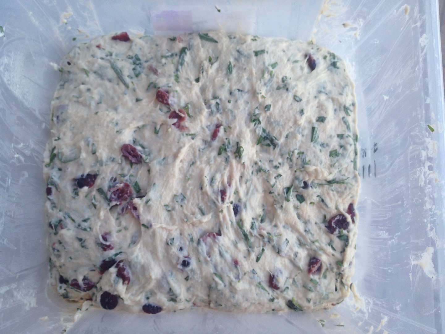 Dough with added tarragon and cranberries