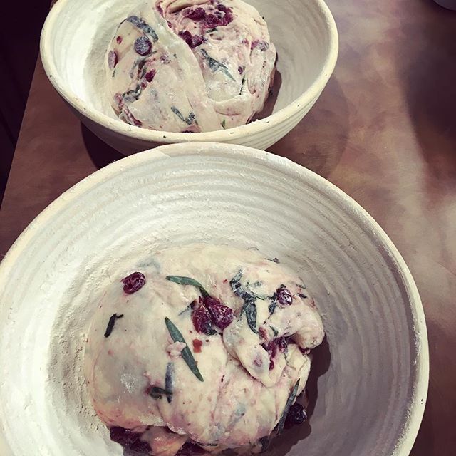 dough in proofing baskets