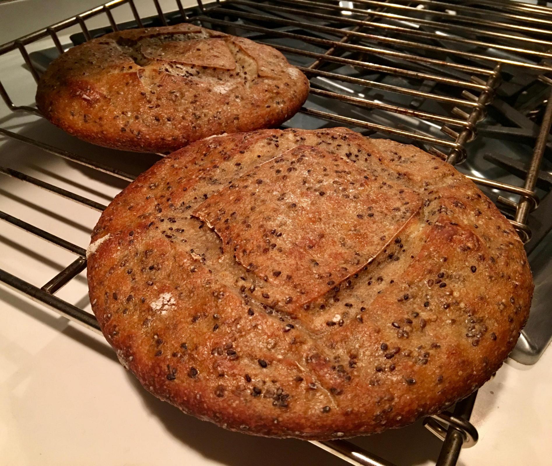 Failed sesame loaves