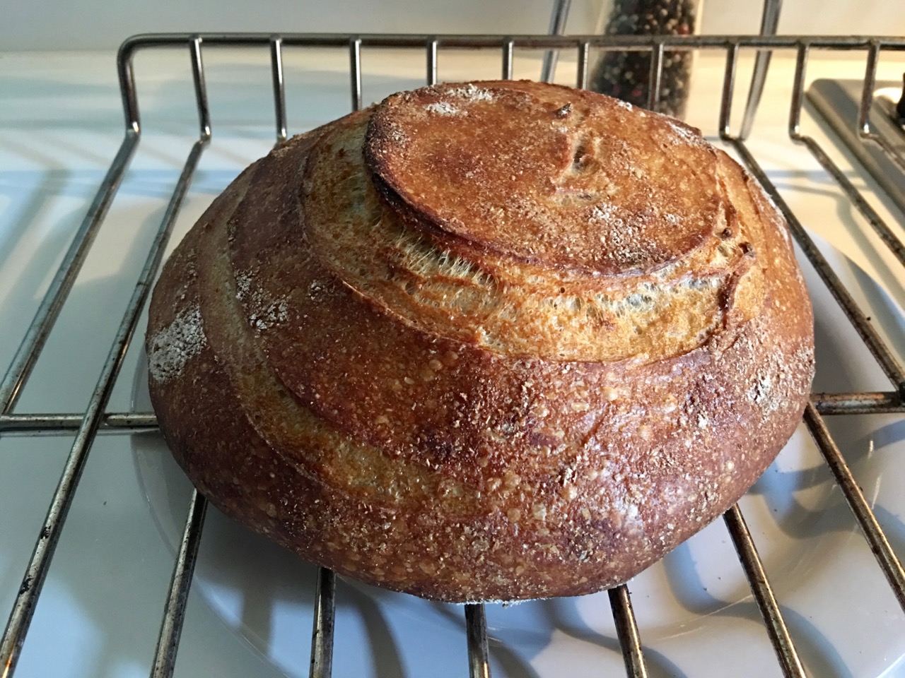 Partially risen loaf