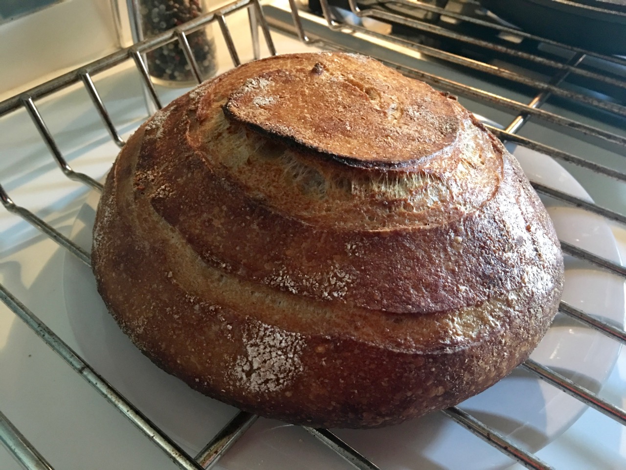 Partially risen loaf