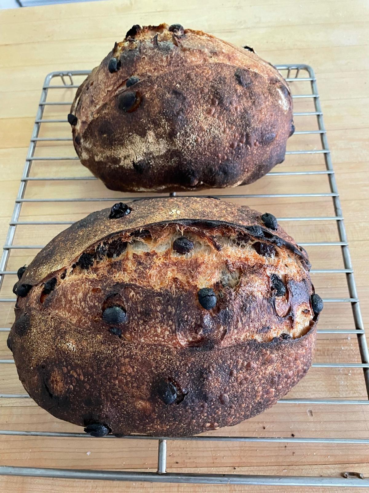 raisin bread