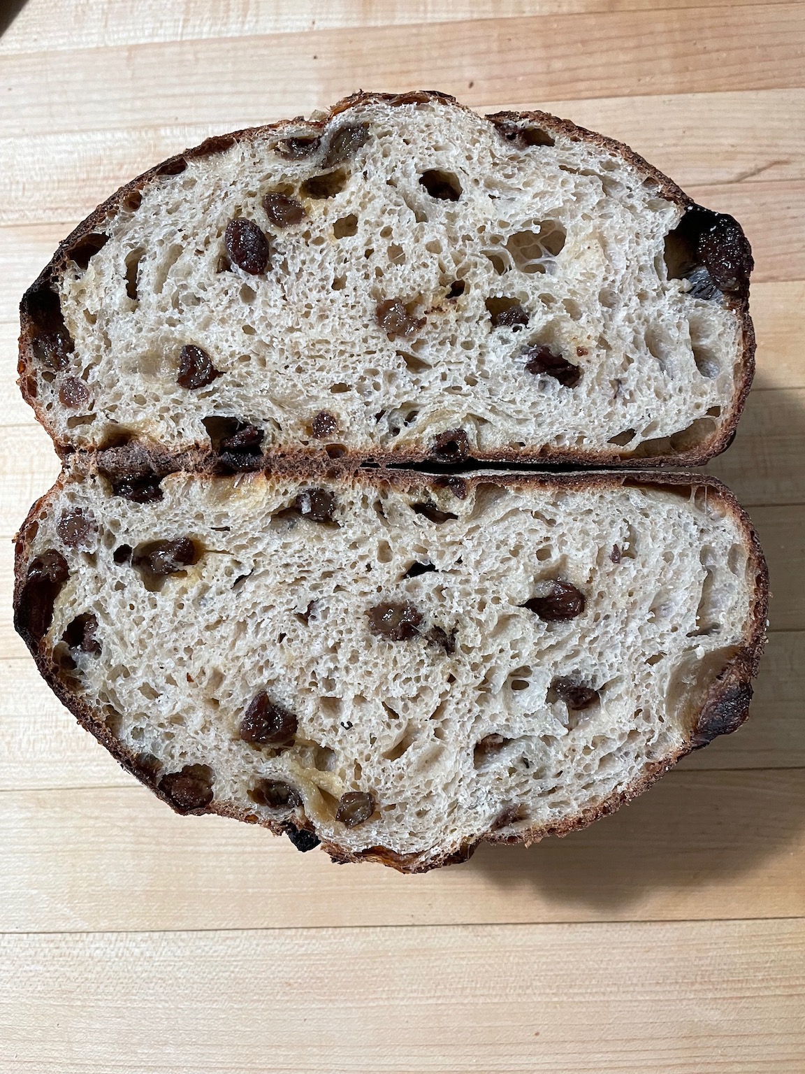raisin bread crumb