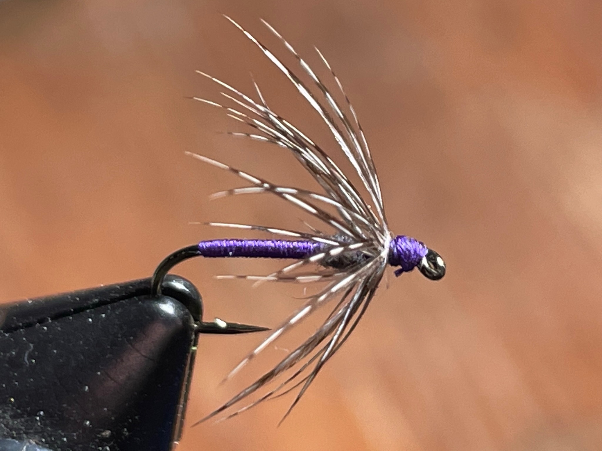 purple and partridge soft hackle 