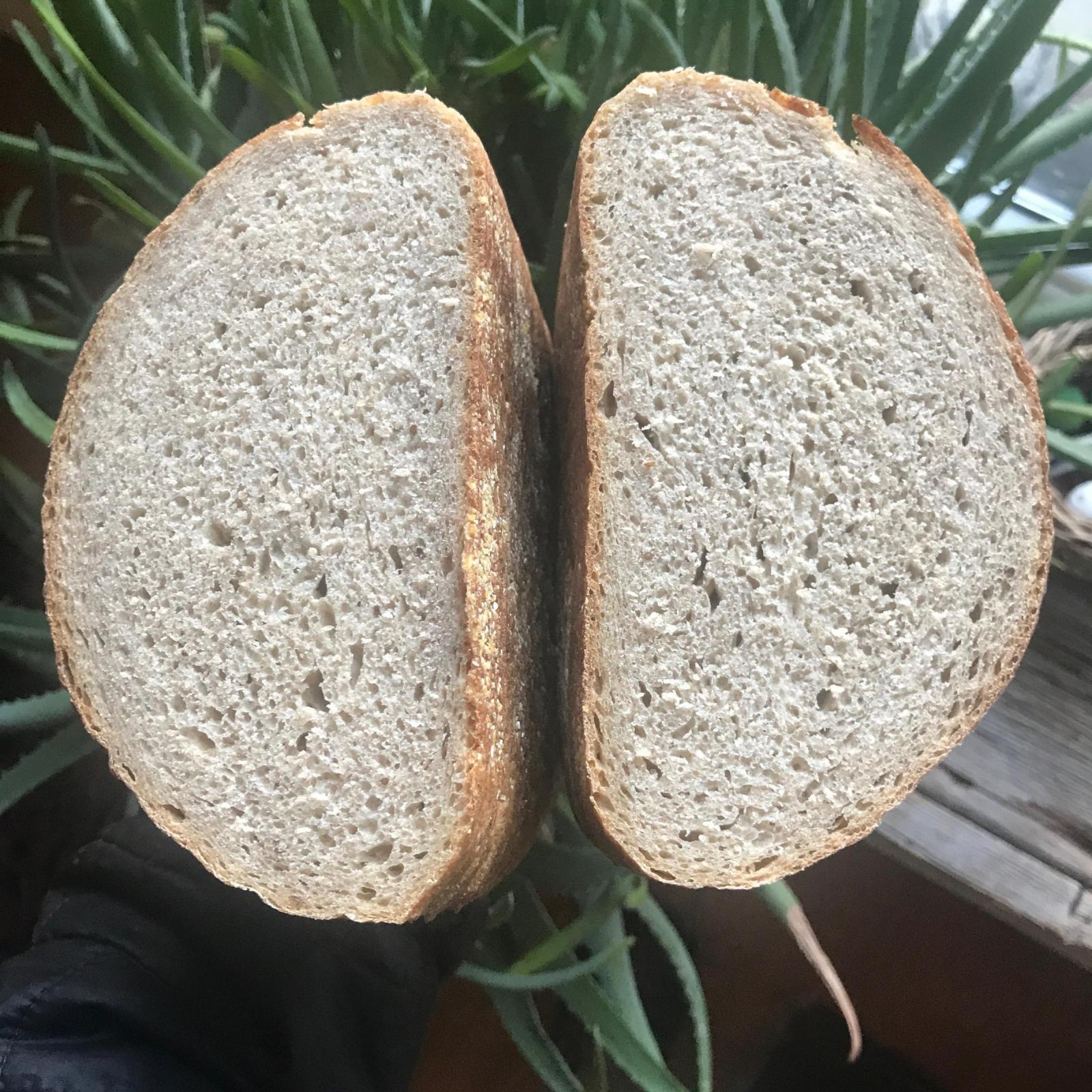 rye crumb