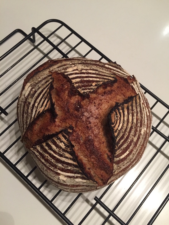 Cold oven baking – The simplest way to make sourdough