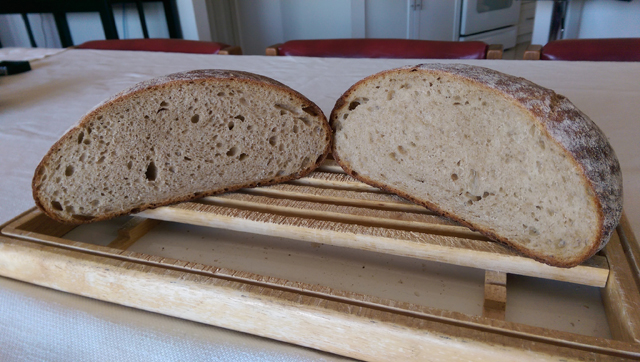 FYSW Overnight White; Lodge Dutch Oven vs EH Bread Cloche : r/Breadit