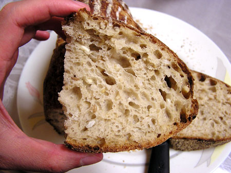 Five-grain levain: crumb