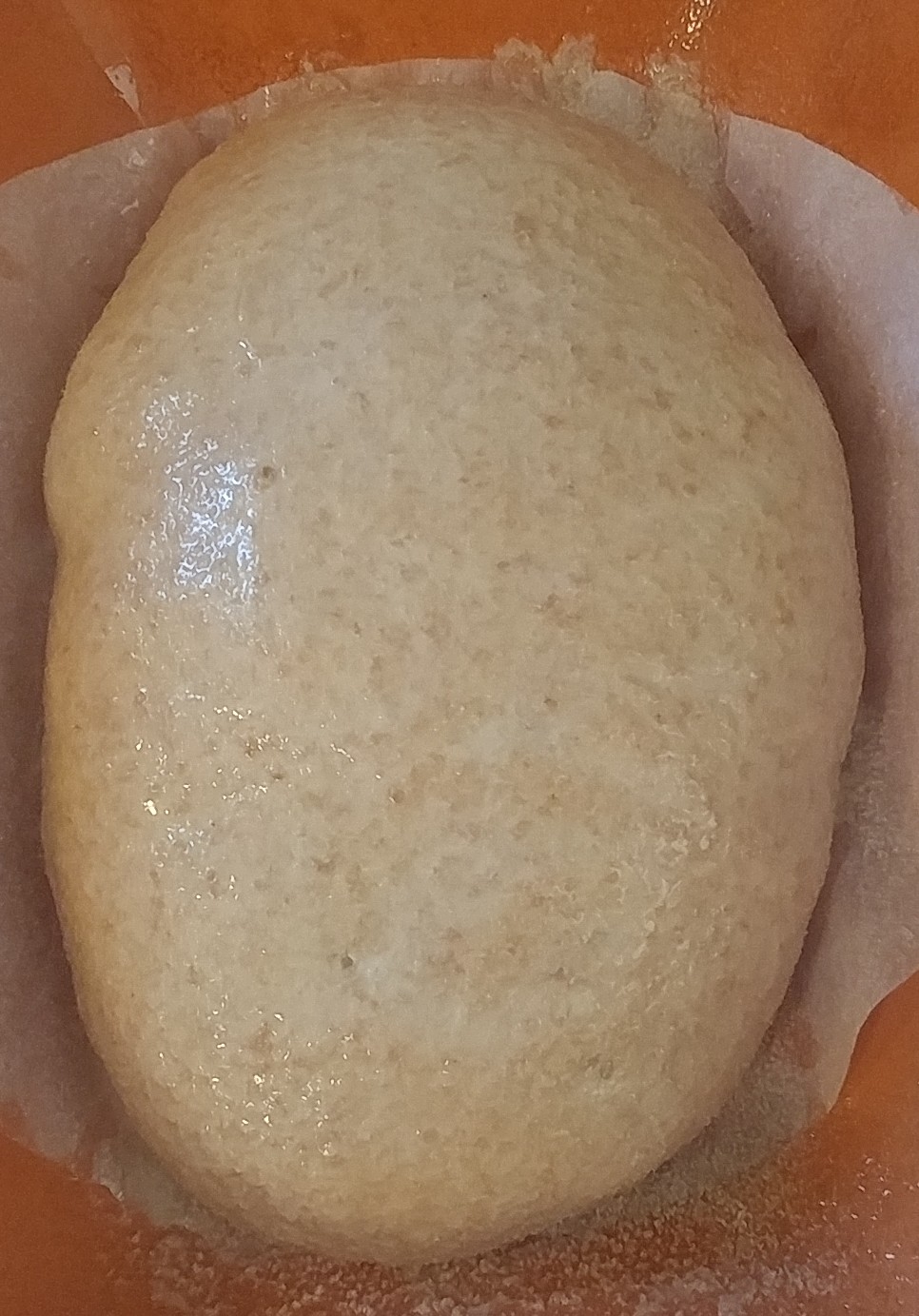 Brushed and Washed