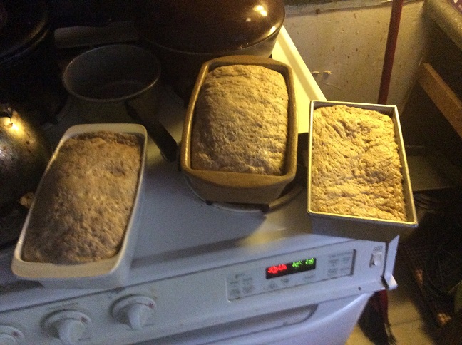 Before baking