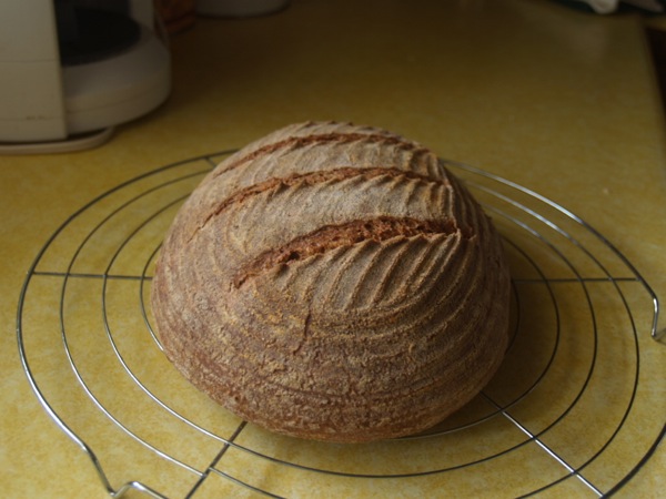 100% Spelt