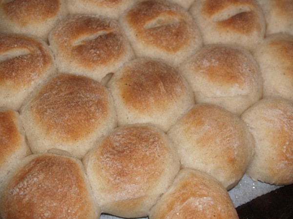 Sourdough Dinner Rolls