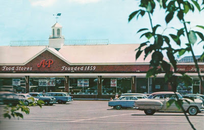 1950s