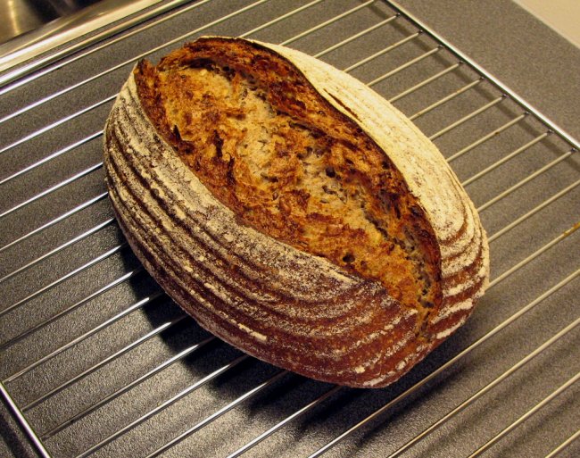 Sourdough multigrain new starter