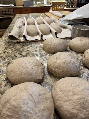 Dough, half resting from pre-shape, and&nbsp; half shaped on the couche