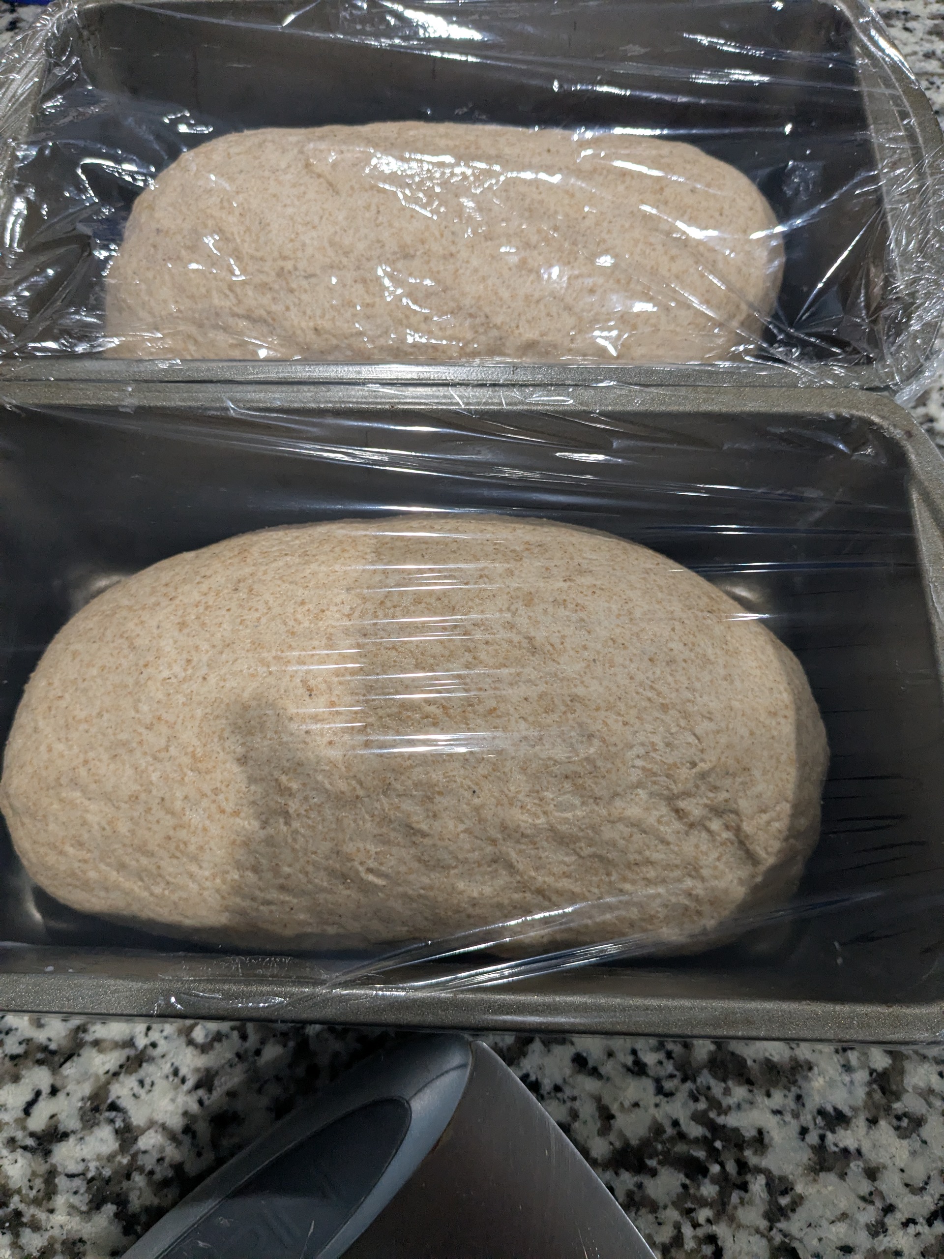 Loaves loaded