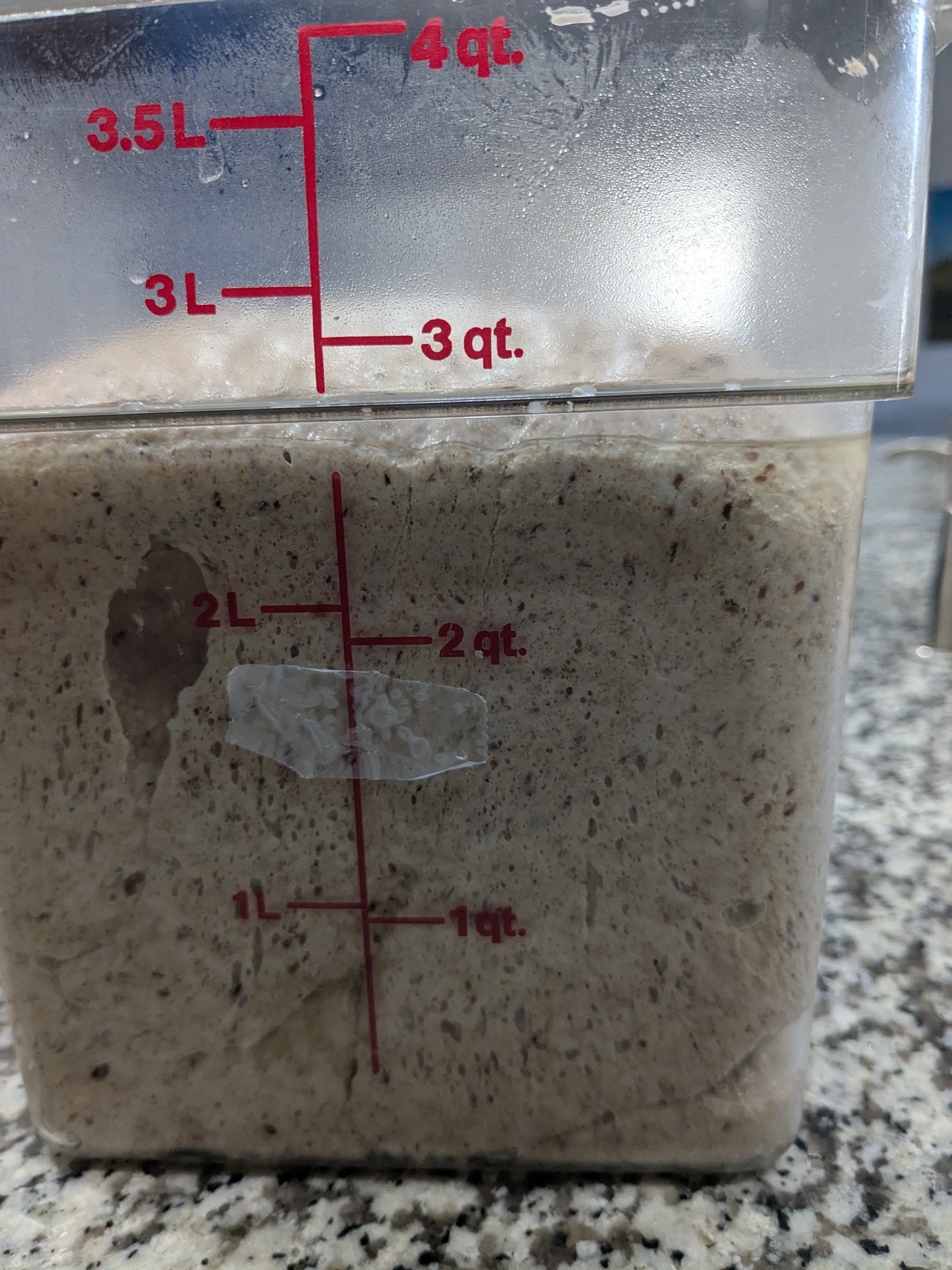 Bulk ferment 