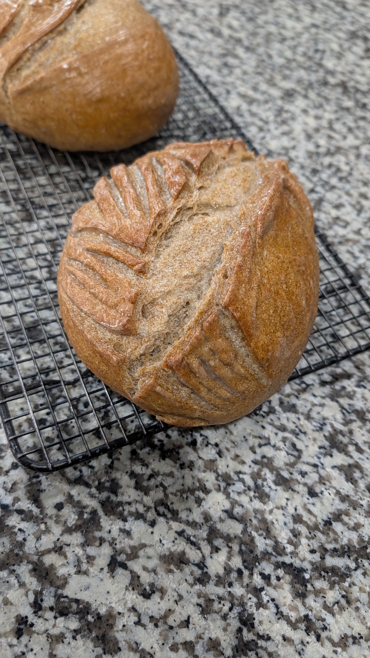 Rye bread 