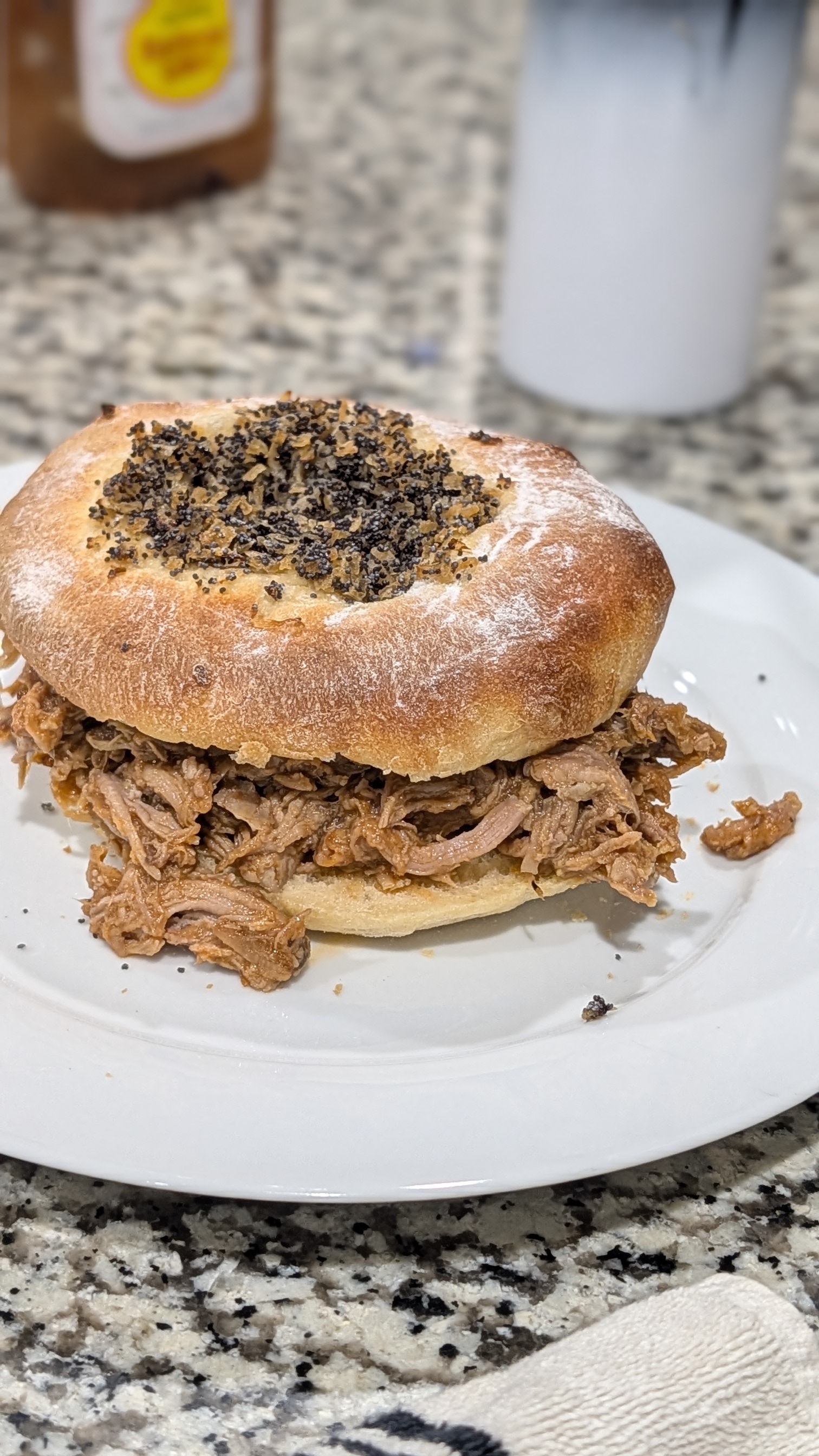 Pulled pork sandwich 