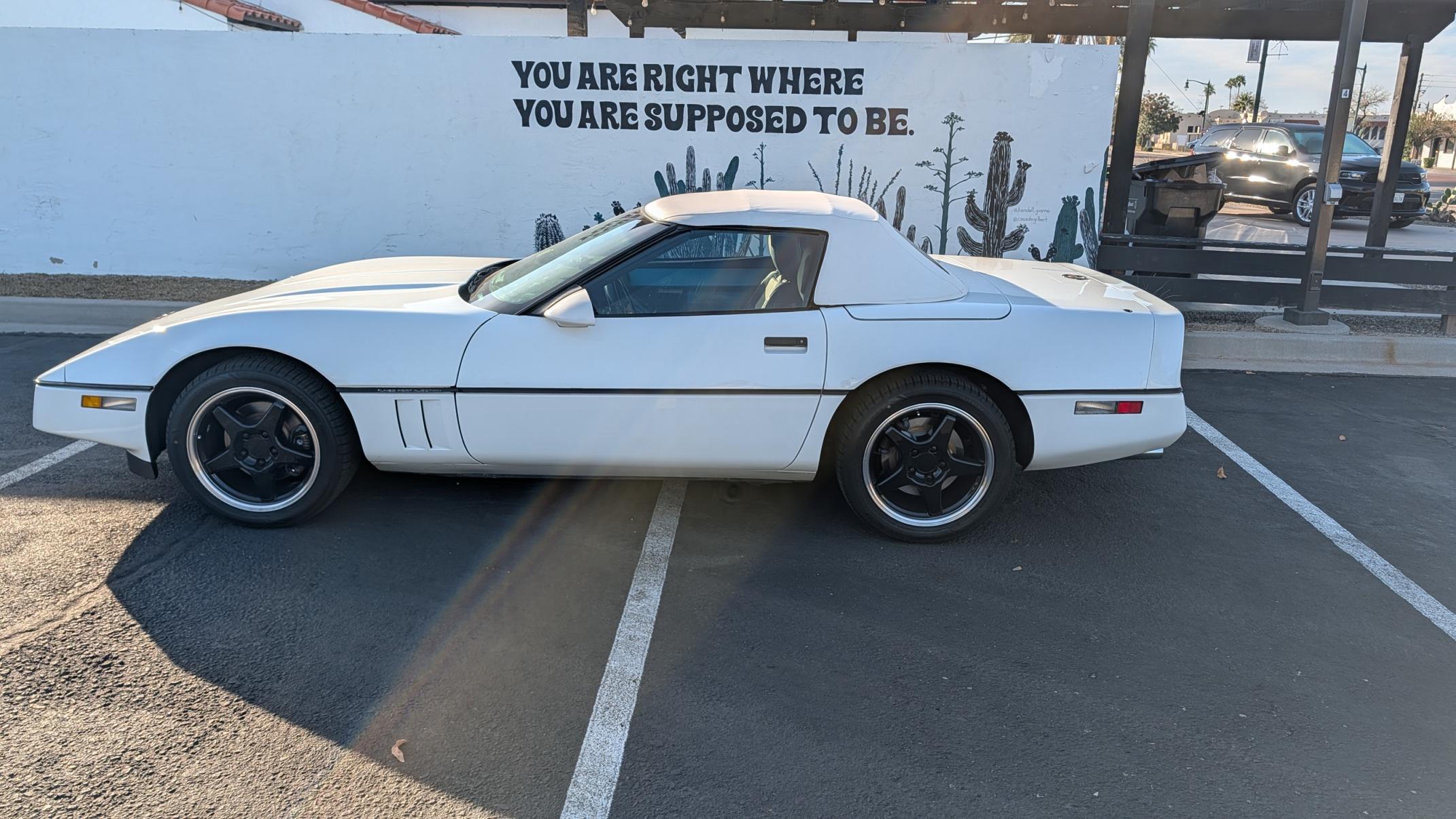 Sicilian style pizza