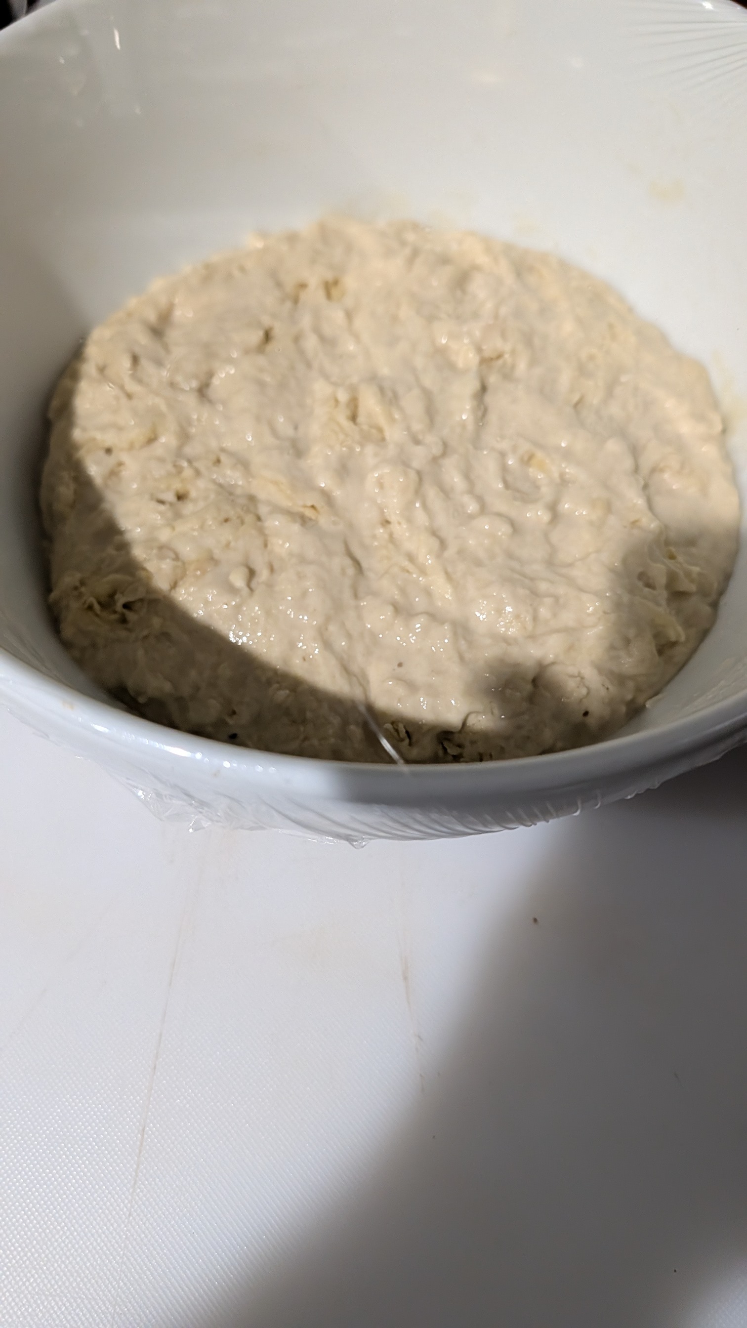 Sourdough culture
