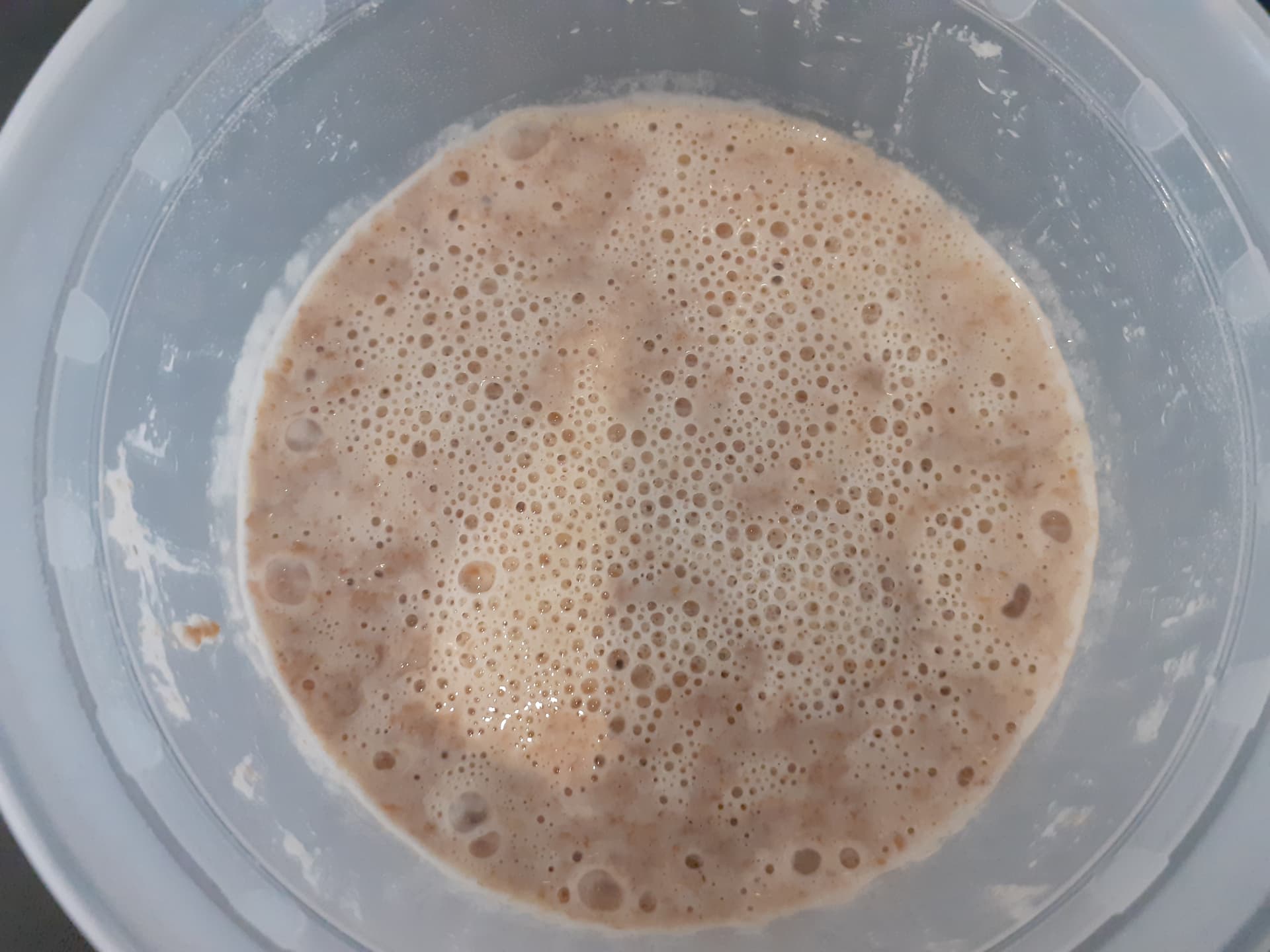 Matured Starter