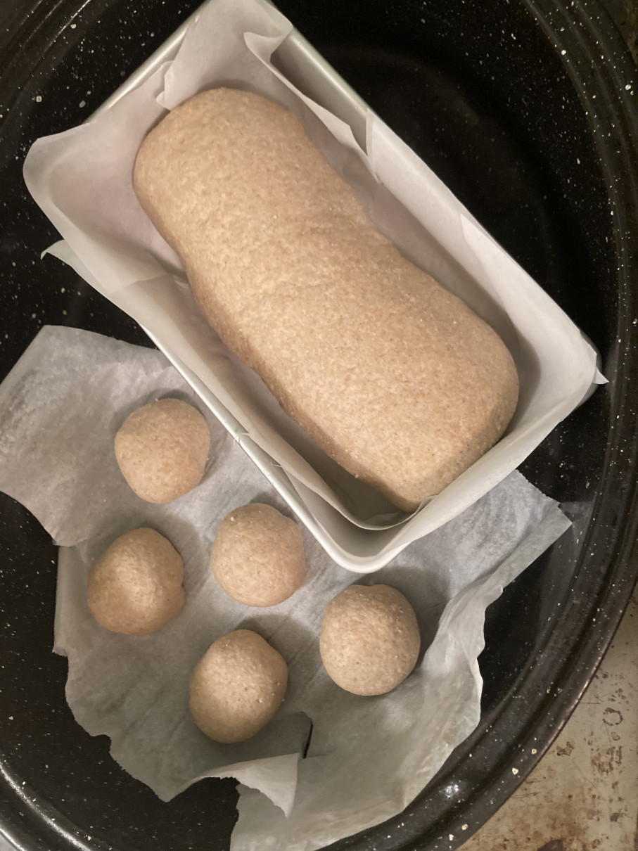 Whole wheat bread loaf and rolls before proofing.